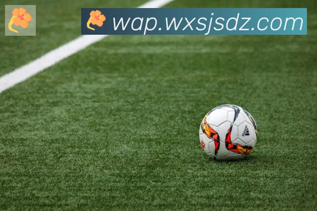 开云官方版网站登录入口平台生态图