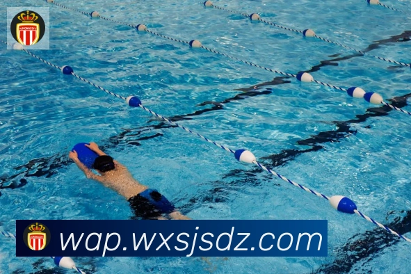 开云官方版网站登录入口APP 封面图