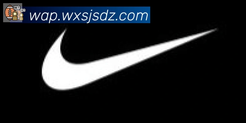 开云官方版网站登录入口合作伙伴