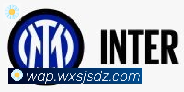 开云官方版网站登录入口合作伙伴