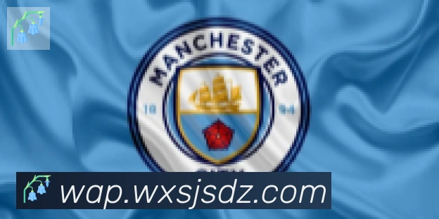 开云官方版网站登录入口合作伙伴